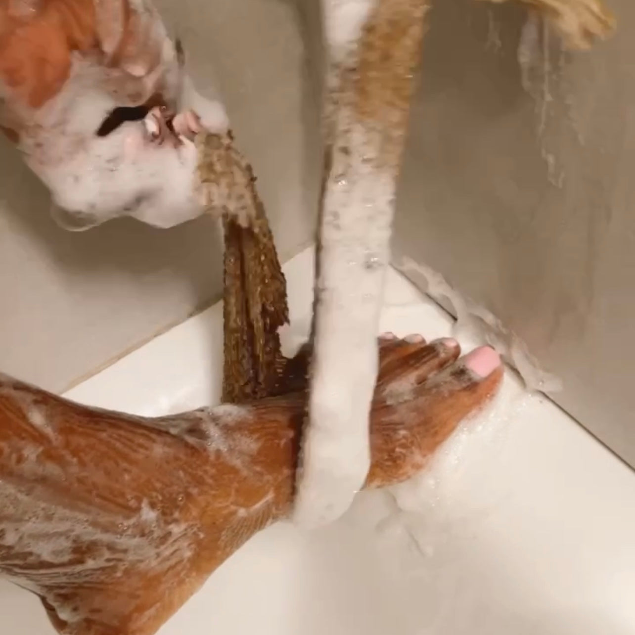 ExfoliMesh™ - Deep Clean Body Net